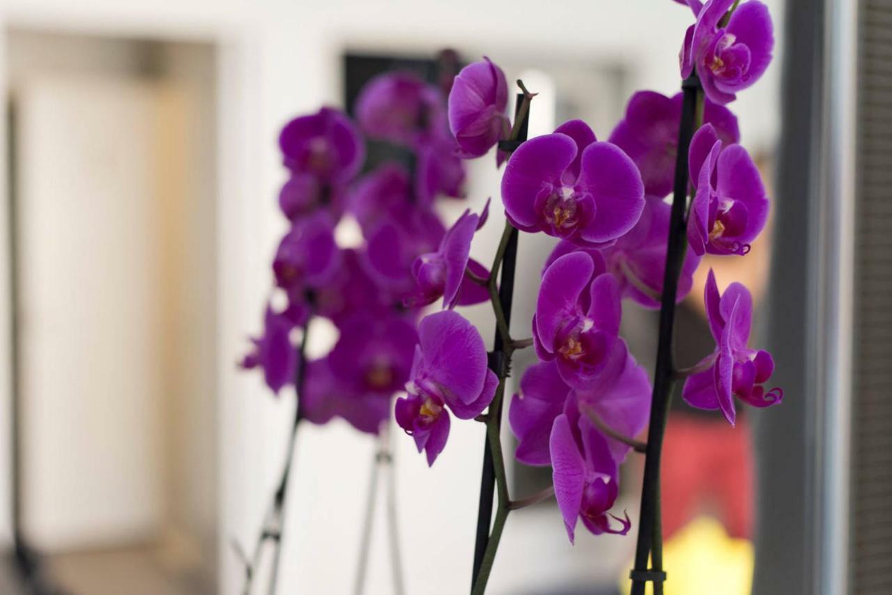 Studio Orchidea Helsinki Exterior foto